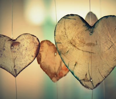 serca z drewna